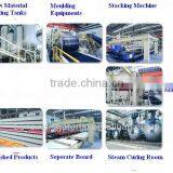 Calcium Silicate Panel Plants thumbnail-1