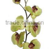 Silk Orchid ( Phalaenopsis With 6 Flowers and 3 Buds ) thumbnail-1