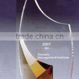 Popular Custom Design Crystal Award Trophy