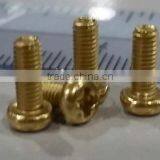 Brass Screw, Fastener, Metal Rivet Pin & Cold Forging Part thumbnail-1