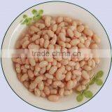 Canned Kidney Beans Canned White Beans in Brine thumbnail-2