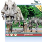 museum high quality simulation dinosaur fossil for exhibition