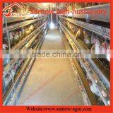 Stable Steel Structure Professional Chicken Egg Layer Cage Laying Hen House Plans Supplier's Choice thumbnail-6