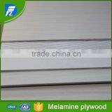 Plywood With Melamine HPL Finish thumbnail-2