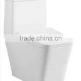 Y298 One Piece Toilet New Model