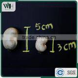 AFI Grade Cambodia Raw Cashew Nuts With Shells thumbnail-2