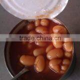 Canned Red Kidney Beans in Brine / in Tomato Sauce 425mlx24tins thumbnail-1