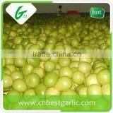 Sweet Honey Pomelo 12kg and 15kg Carton for European Market thumbnail-6