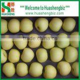 2016 Chinese Golden Delicious Fresh Apple With Best Quality thumbnail-1