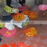 Fresh Baby Mandarin thumbnail-4