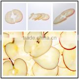 exporter of dry fruits apple rings China supplier