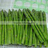 2016 Frozen Green Spring/summer Asparagus Cut/whole From Sunnywellfoods Company thumbnail-2