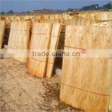 1270 x 1270mm Short Veneer For Making Plywood thumbnail-4