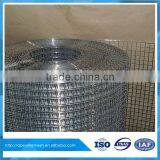 steel wire mesh for parrots