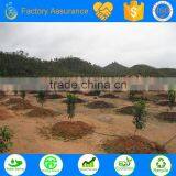 Ts Irrigation Supply the Tree Drip Irrigation System