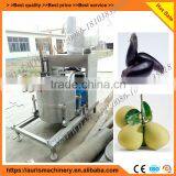 High Effective Fruit Garlic Presser Machine thumbnail-2