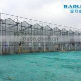 Multi-span Glass Tunnel Greenhouse thumbnail-5