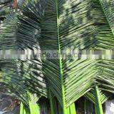 SJ7001026 Outdoor Palm Tree Leaf With UV Protection thumbnail-1