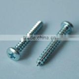 Din7981 pan head self tapping screw tapping made in China