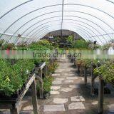 Small Single Span Film Covering Flower Greenhouse thumbnail-1