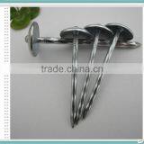 50 Jute Bag Roofing Nails thumbnail-2