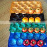 China Manufacturer FDA Approved Plastic Material Vacuum Forming Fruit Food Tray thumbnail-1