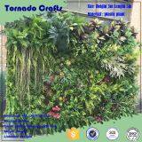 Tornado Crafts Wholesale Home Decor Plastic Vertical Green Wall System Customized Different Types of Green Wall thumbnail-1