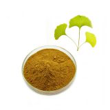 Organic Ginkgo Biloba Leaf Powder 24/6/5 Ginkgo Biloba Extract Supplier