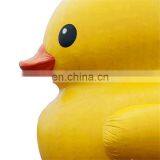 Fascinating Land and Water Inflatable Duck Character Cartoon Model For Event Party,Commercial Advertising thumbnail-4
