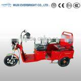 48v Electric Leisure Tricycle Scooter for Passenger,made in China