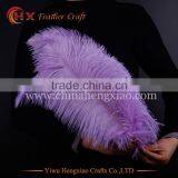2016 Wholesale Cheap High Quality Plumes Ostrich Feather for Table Centerpiece thumbnail-5