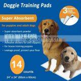 24"X24" Puppy Training Pads thumbnail-1