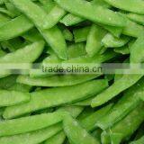 FROZEN PEAPOD thumbnail-1