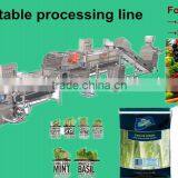 lettuce washing machine fresh cut vegetable iqf processing salad washer