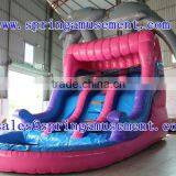 New Design Water Slides With Pool Inflatable SP-PS007