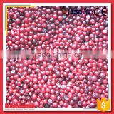 Chinese Iqf Wild Frozen Lingonberry