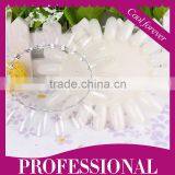 2016 Hot Selling Nail Polish Color Display Coral Nail Color Chart