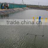 Paddle Wheel Aerator 2HP thumbnail-4