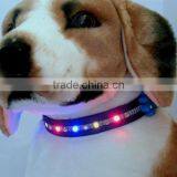 Light up Dog Collar thumbnail-4