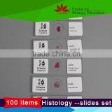 For high education 100 kinds of human histology Prepared Slides