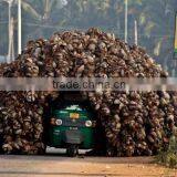 Professional Coconut Shell Fiber Bale Opening Machine Line Coconut Fiber Machine thumbnail-4