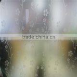 Frosted Shower Doors Glass thumbnail-1