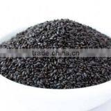 Basil Seeds India Origin