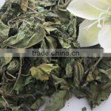 Mulberry Leaf Natural Herbal Tea thumbnail-1