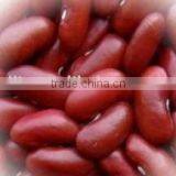 Small Red Beans thumbnail-1