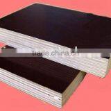 1220x2440x12mm Film Faced Plywood for Construction Plywood thumbnail-1