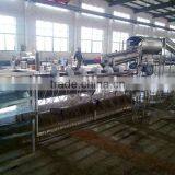 Best Quality Automatic Chicken Feet Peeling Production Line 0086-15838061756 thumbnail-1
