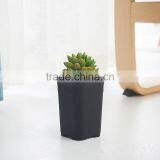 Square Small Black Square Succulent Plants Plastic Flowerpot Seeding Pot thumbnail-1