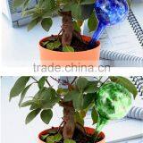 ILOT Hand-blown Glass Aqua Automatic Houseplant Watering System thumbnail-6