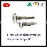 China Hardware Factory Custom Anode Steel Screw thumbnail-1